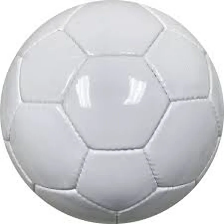 Sports Balls & Game Equipment