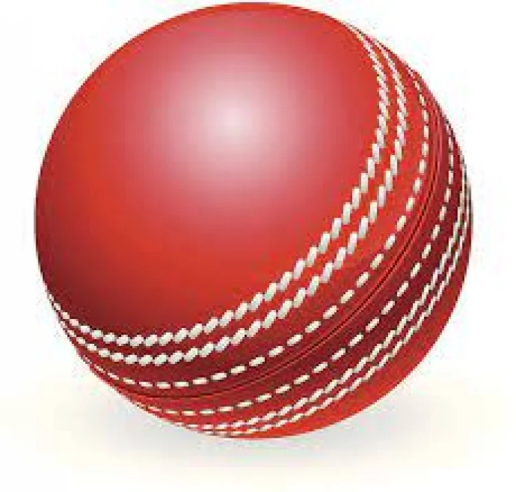 Cricket balls