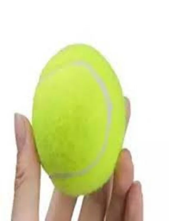 Cricket balls