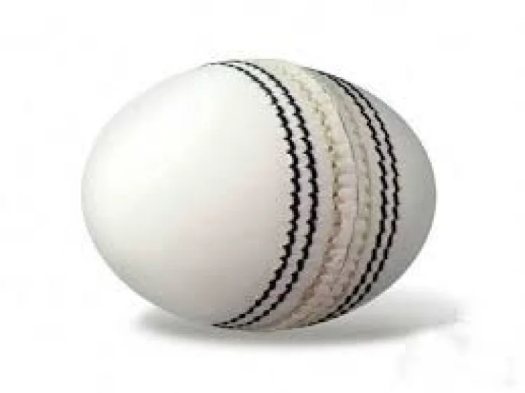 Cricket balls